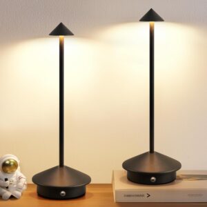 Modern Cordless Table Lamp Set of 2...
