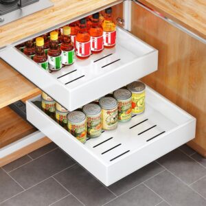 Pull out Cabinet Organizer, 21̸...