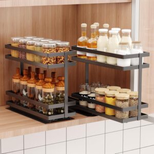 2 Pack Pull Out Spice Rack Organize...