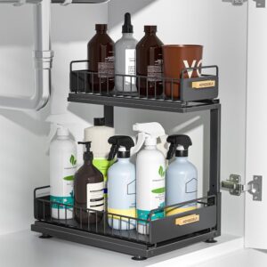 Under Sink Organizer Kitchen, 2 Tie...