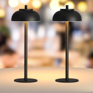 2 Pack Led Cordless Table Lamps Rec...