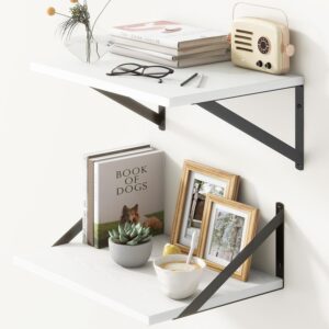 Fun Memories Floating Shelves Set o...