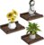 RYOFOBETTO Small Floating Shelf, 6 X 9 Inches Farmhouse Wall Shelves for Living Room, Bedroom, Picture Frames, Plants, Kitchen, Set of 3 (Brown)