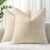 decorUhome Spring Couch Throw Pillow Covers 18×18 Set of 2, Decorative Soft Velvet Modern Cozy Chenille Pillow Cases with Elegant Design for Sofa Bed Living Room Home Decor, Beige