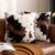 Pack of 2 Luxury Faux Fur Throw Pillow Covers Cowhide Decorative Soft Fluffy Plush Couch Throws Brindle Cushion Covers for Couch Living Room Sofa Bedroom 18×18 Inch