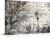Conipit Farmhouse Wall Art Rustic Windmill Pictures Black White Tree Canvas Print Stretched and Framed Ready to Hang Home Decor (24”x36”)