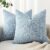 MIULEE Pack of 2 Decorative Linen Burlap Textured Pillow Covers Farmhouse Boho Accent Pillowcases Spring Coastal Home Decor for Couch Sofa Bedroom Living Room 18×18 Inch Light Blue